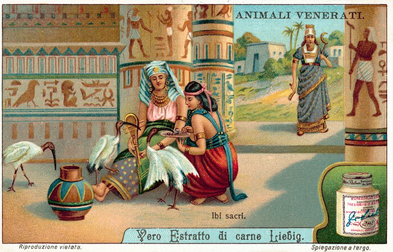Hellig ibis i det gamle Egypten (chromolitho) af European School