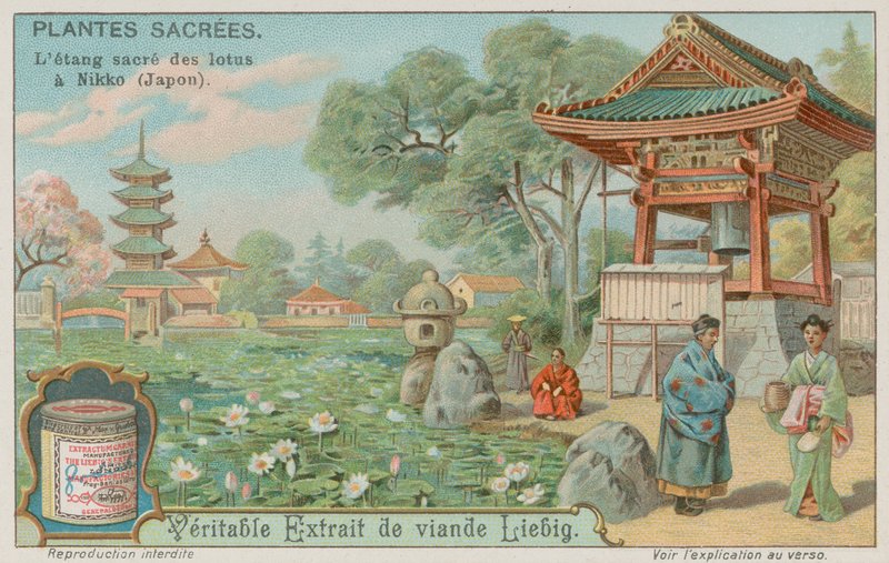 Hellig lotusblomstdam i Nikko, Japan af European School