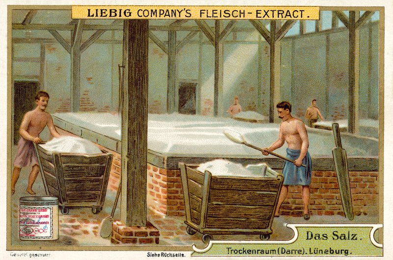 Salt: tørrerum, Luneburg, Tyskland (chromolitho) af European School