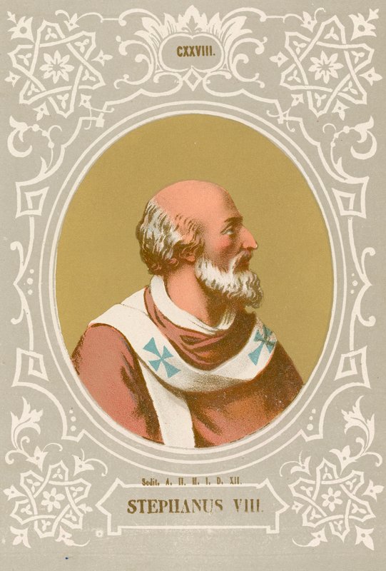 Stephen VIII af European School