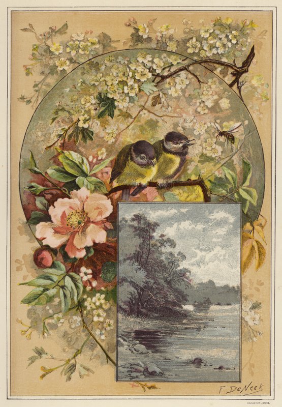 Sommer (farve litho) af European School