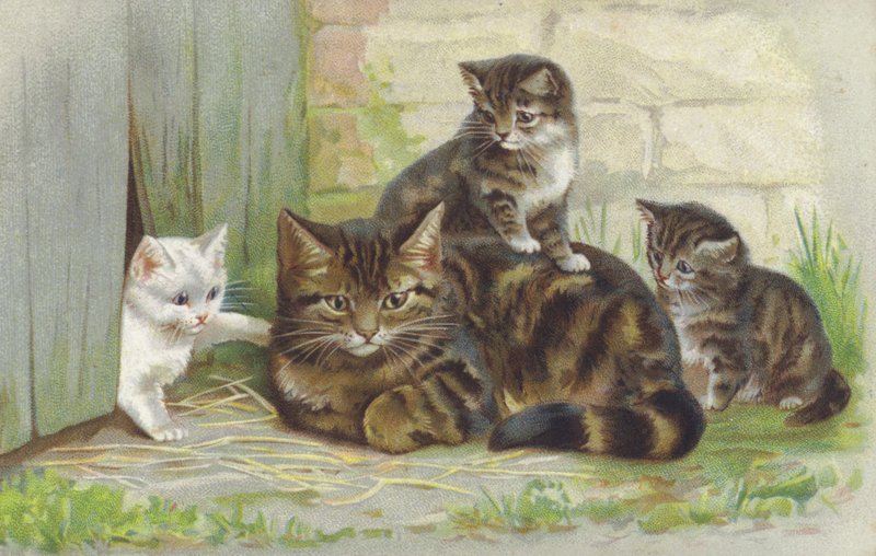 Tabby-kat med tre killinger (chromolitho) af European School