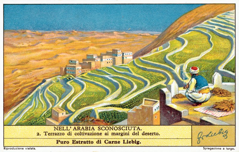 Terrassedyrkning på kanten af ørkenen (chromolitho) af European School