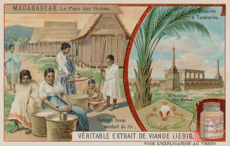 The Land of the Hova: Kvinder, der sælger ris, mausoleum ved Antananarivo og Hovas våbenskjold af European School