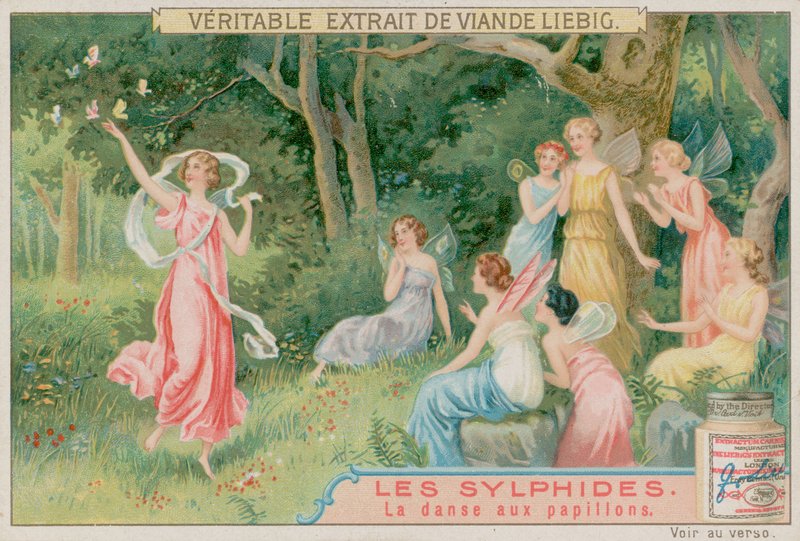 Sylferne danser med sommerfugle af European School