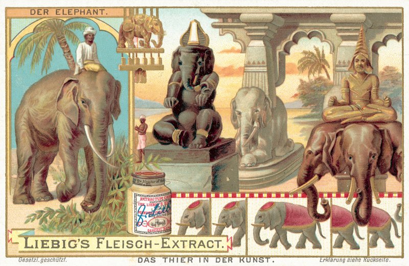 Elefanten (chromolitho) af European School