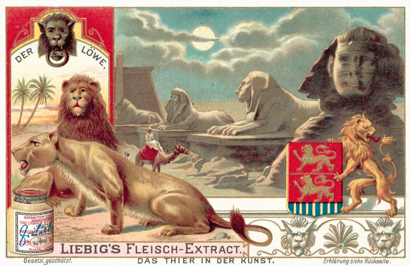 Løven (chromolitho) af European School