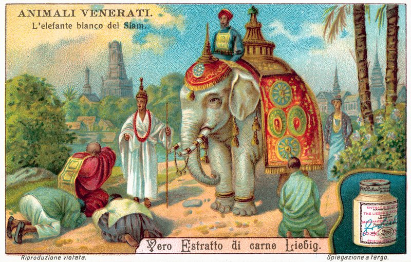 Den hvide elefant fra Siam (chromolitho) af European School