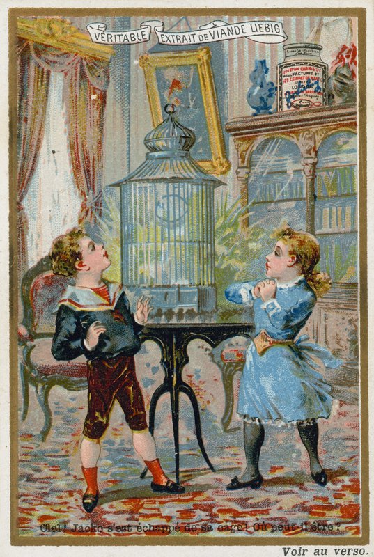 Two children wondering where their pet caged bird has escaped to  af European School
