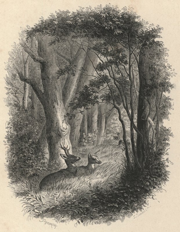 Et hjørne af skoven Fontainebleau (gravering) af European School