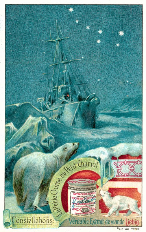 Ursa Minor (chromolitho) af European School