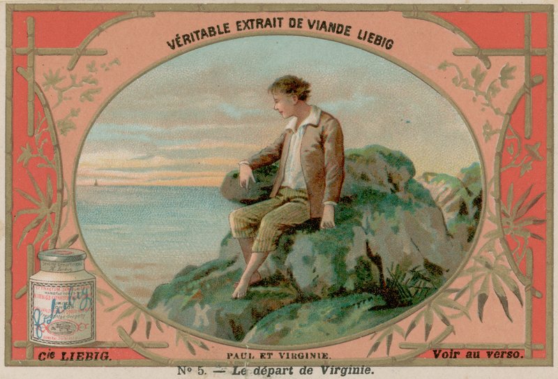 Virginie blade af European School