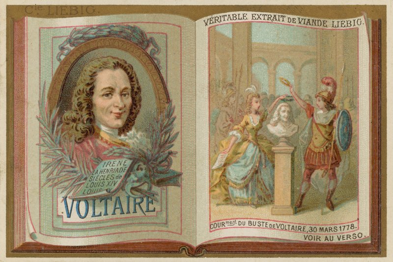 Voltaire af European School