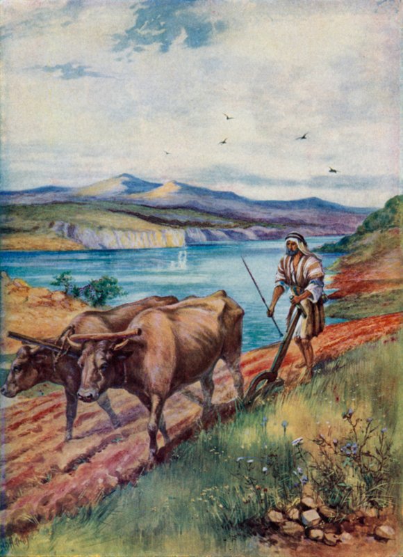 Pløjning i Jesu land (farve litho) af Evelyn Stuart Hardy