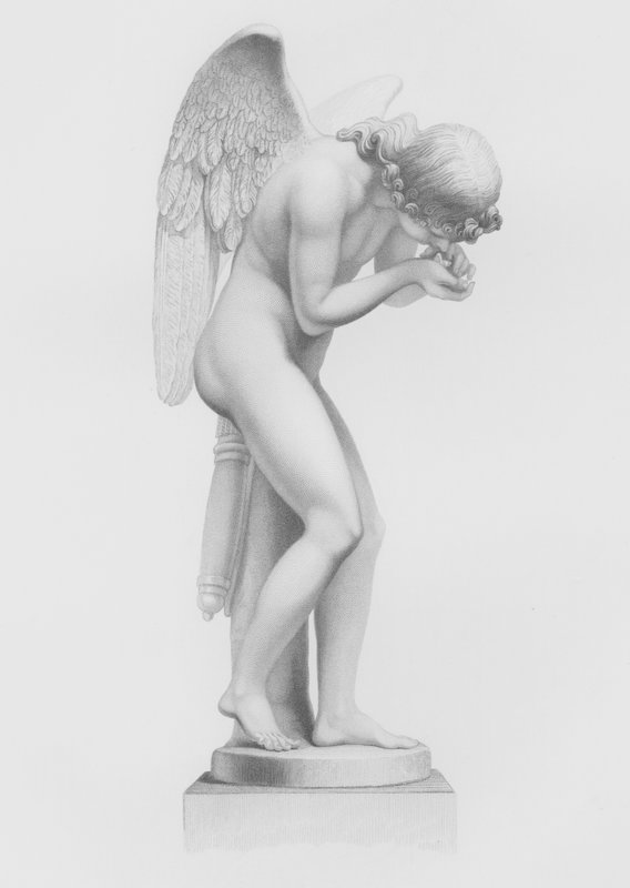 Love Reviving Life, fra statuen af Finelli, i samlingen af His Grace the Duke of Devonshire, i Chatsworth (gravering) af F. Roffe