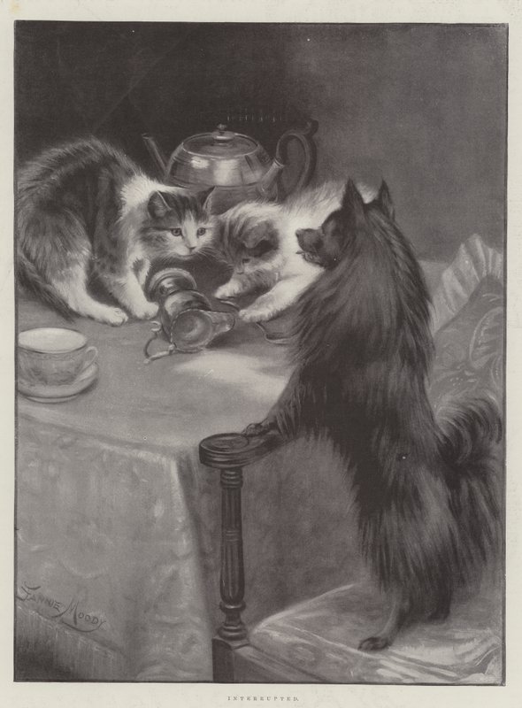 Afbrudt af Fannie Moody