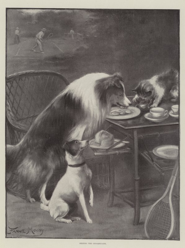 At gribe chancen af Fannie Moody