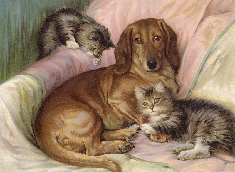 Legekammerater - hund og to katte, siddende på en sofa (farve litho) af Fannie Moody