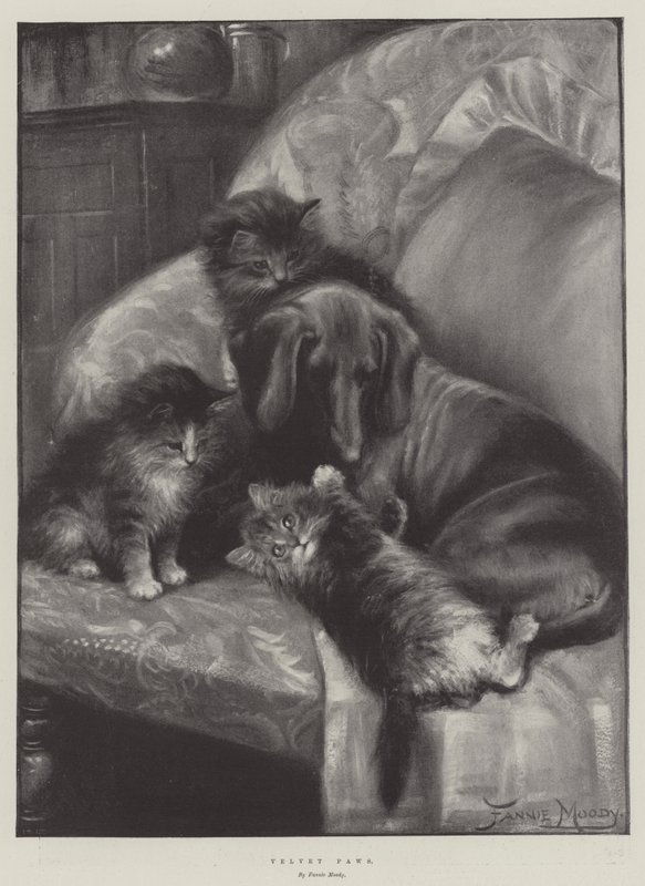 Velvet Paws af Fannie Moody