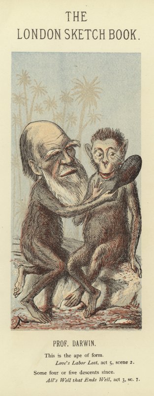 Karikatur af Charles Darwin af Faustin