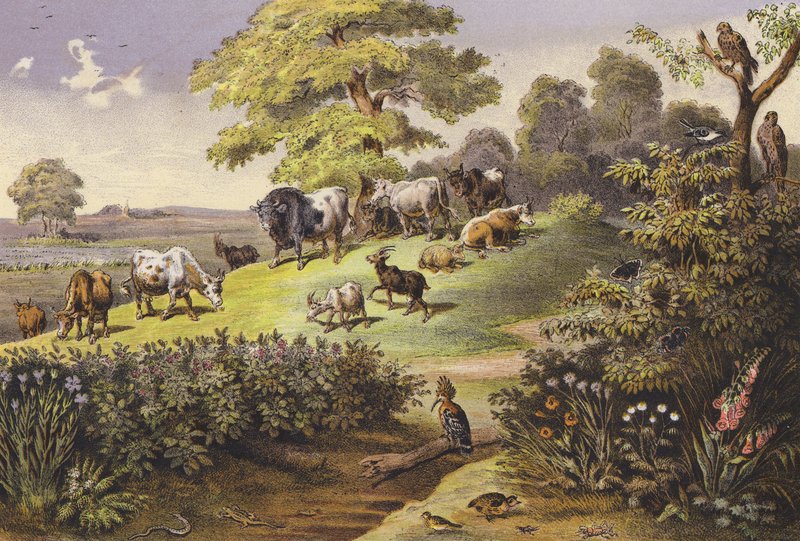 Juli (farvelitografi) af Ferdinand Karl Klimsch