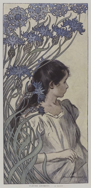 Fleurs Animees. Le Bluet. (Animerede blomster: Kornblomsten) (farve litho) af Firmin (after) Bouisset