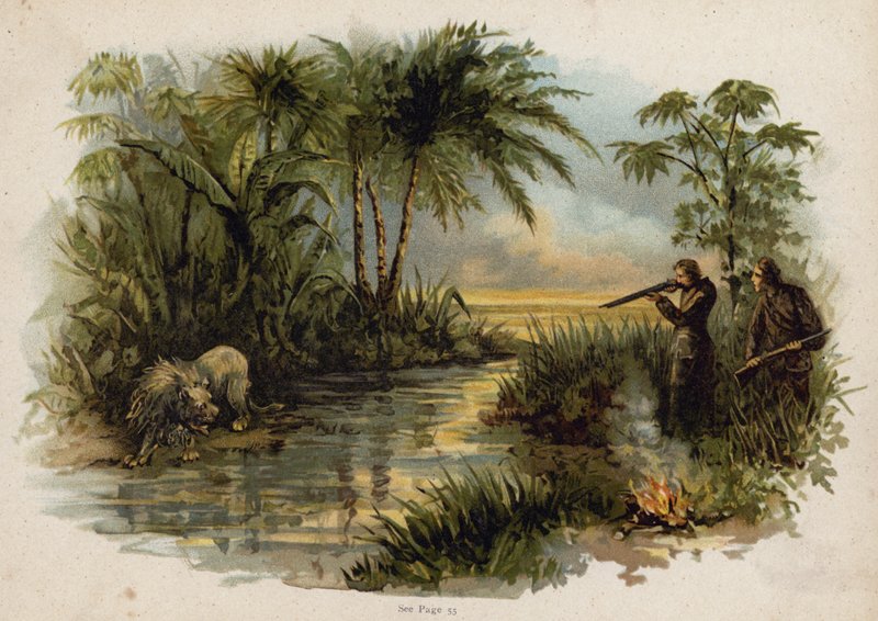 Scene fra den schweiziske familie Robinson: jagt løven (chromolitho) af Florence Maplestone