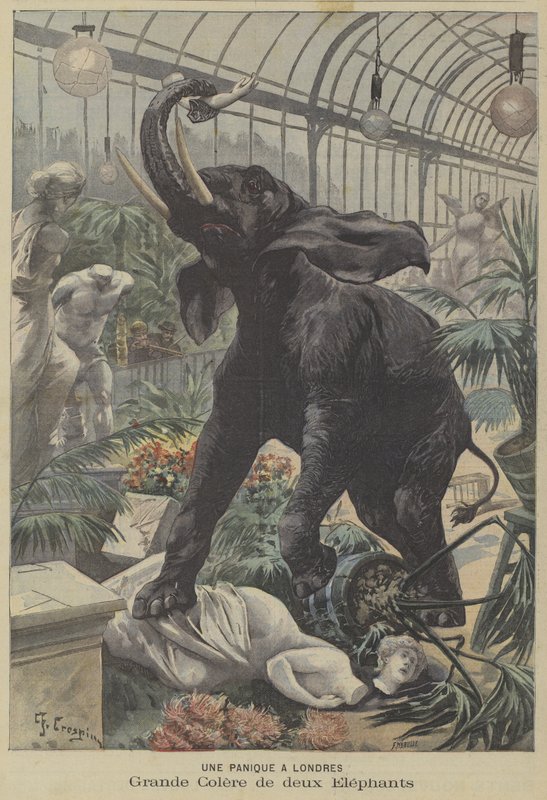 To rasende elefanter på amok i London af Fortune Louis Meaulle