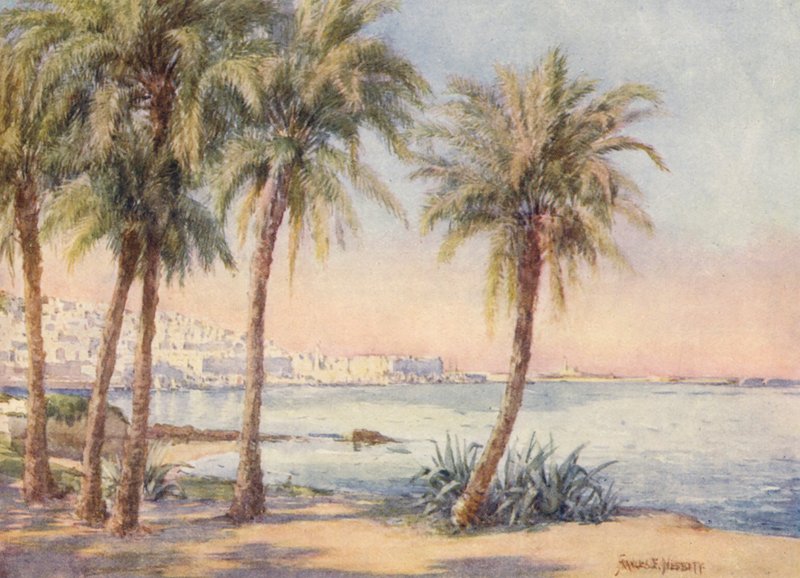 Algier fra Jardin d