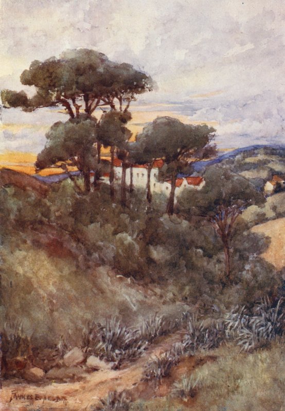 Stone Pines, Algier (farvelitografi) af Frances Nesbitt