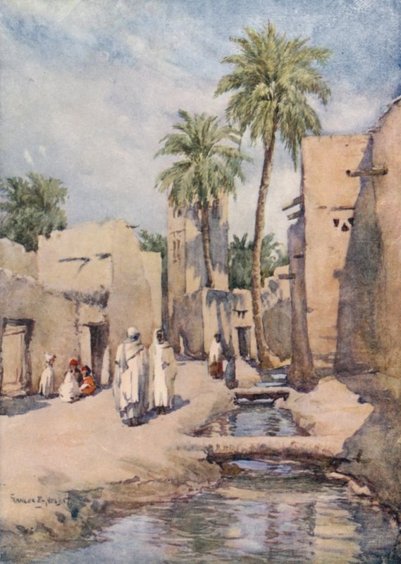 Oasen Biskra, Algeriet af Frances Nesbitt