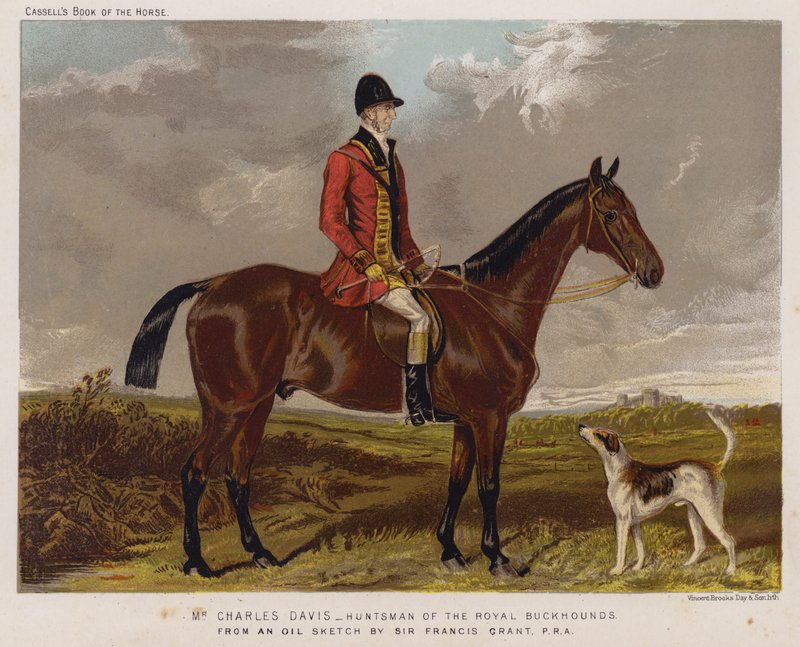 Mr Charles Davis, Huntsman of the Royal Buckhoundsdani af Francis Grant