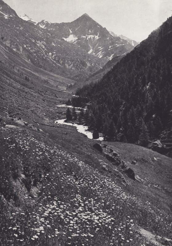 Østlige alper: I Windach Tal (s/h-billede) af Francis Sydney Smythe