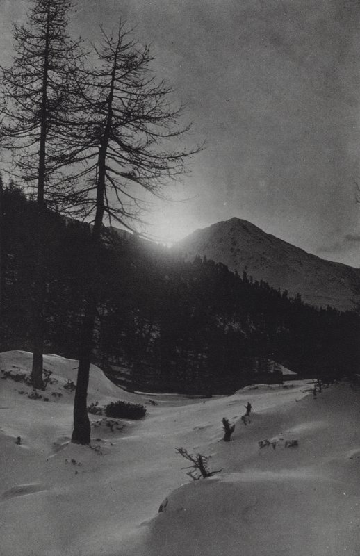 Alperne: I nærheden af Obergurgl (s/h foto) af Francis Sydney Smythe
