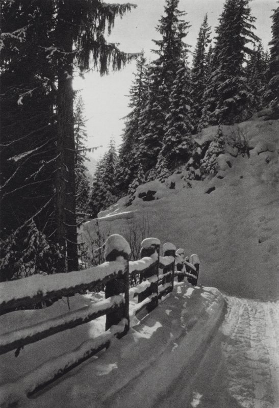 Alperne: Winter Morning, nær St Anton (s/h foto) af Francis Sydney Smythe