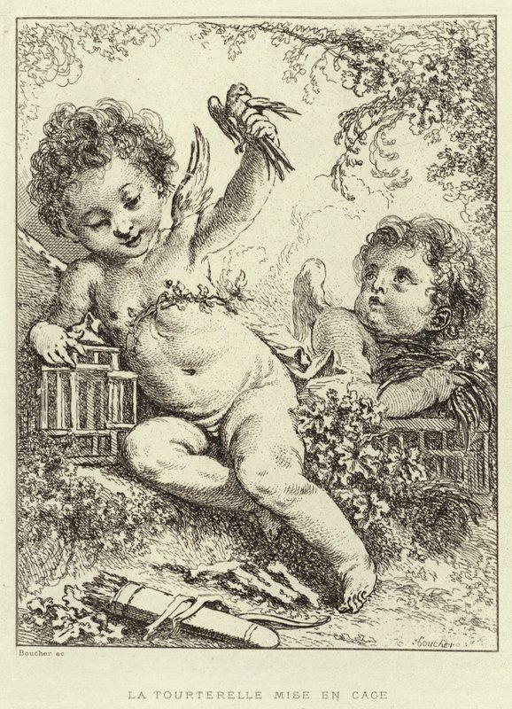The Caged Dove (gravering) af Francois (after) Boucher