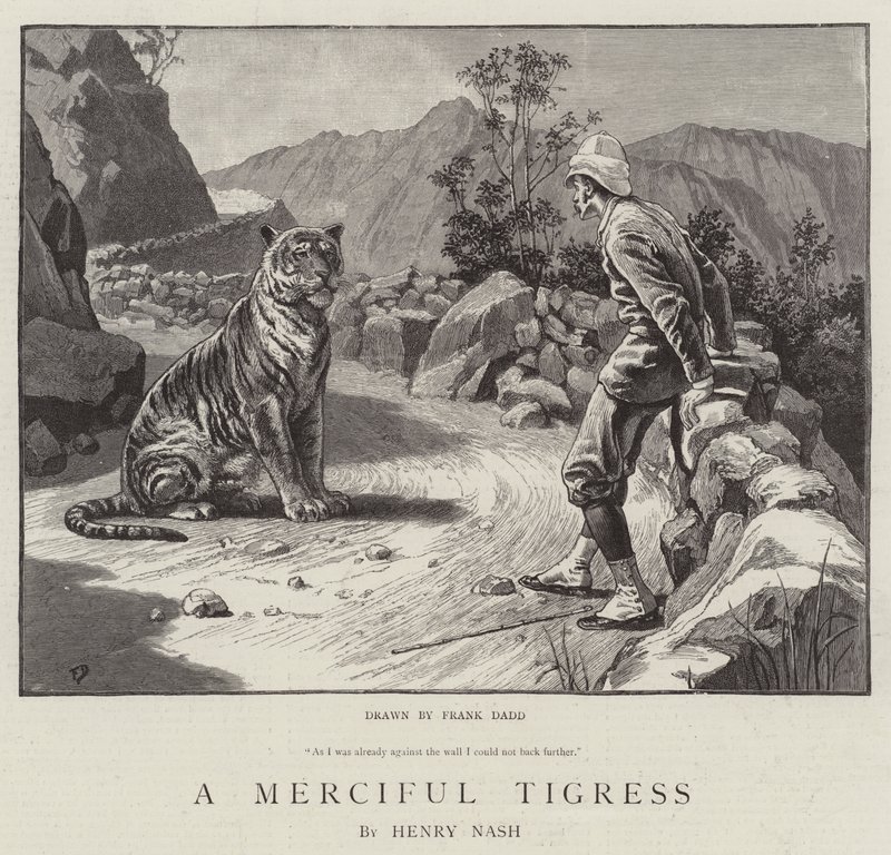 En barmhjertig tigerinde af Frank Dadd