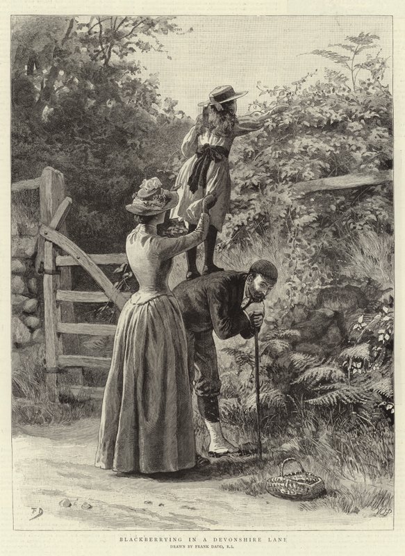 Blackberry i en Devonshire Lane af Frank Dadd