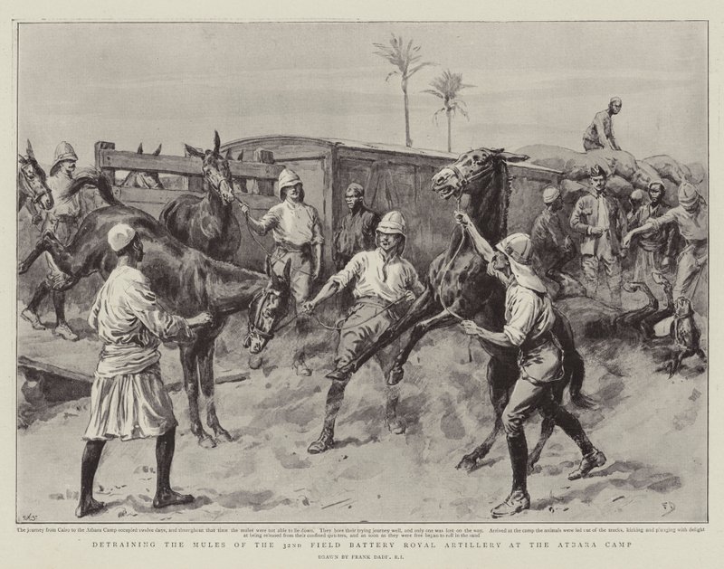 Træning af muldyrene fra det 32. feltbatteri fra Royal Artillery i Atbara-lejren af Frank Dadd