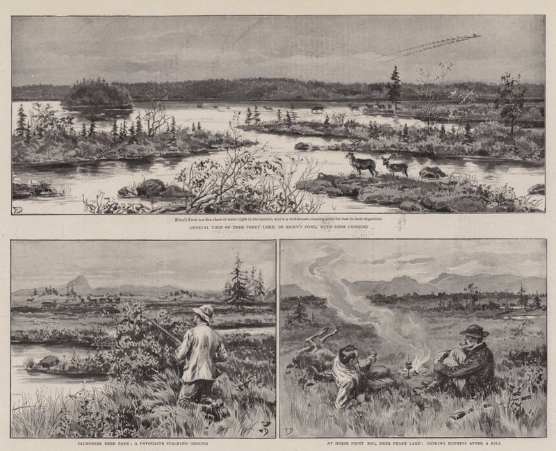Landbrug og sport i Newfoundland af Frank Dadd