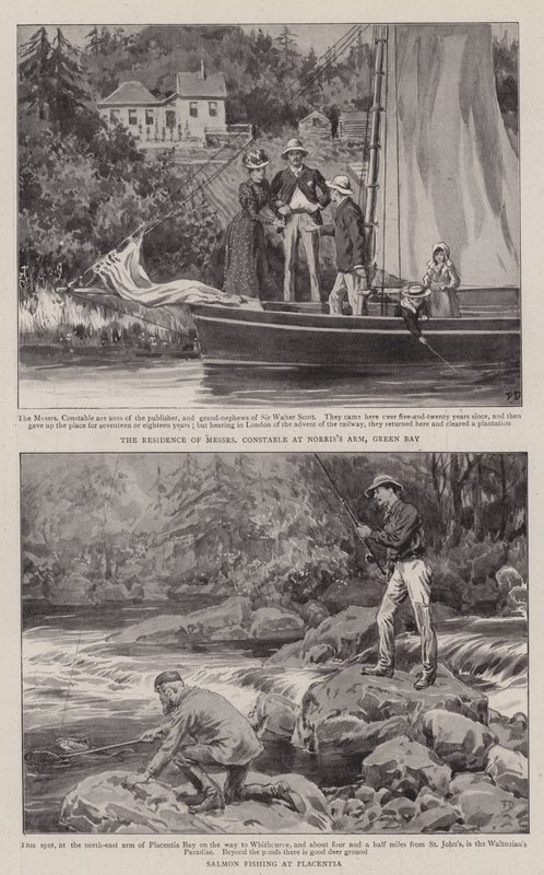 Landbrug og sport i Newfoundland af Frank Dadd