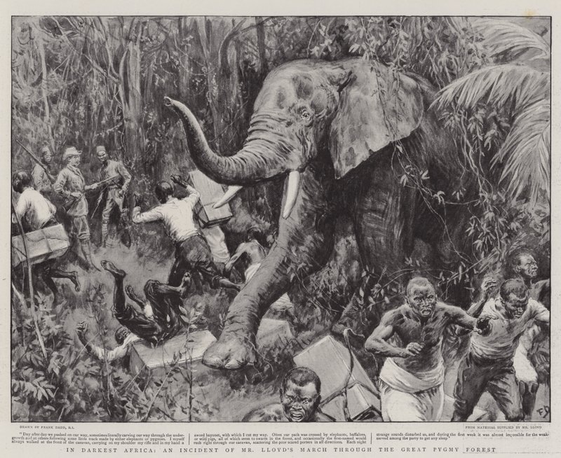 I mørkeste Afrika, en hændelse af hr. Lloyds march gennem den store pygmæskov af Frank Dadd