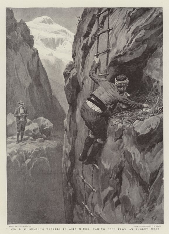 Mr F C Selous rejser i Lilleasien, hvor han tager æg fra en ørnered af Frank Dadd
