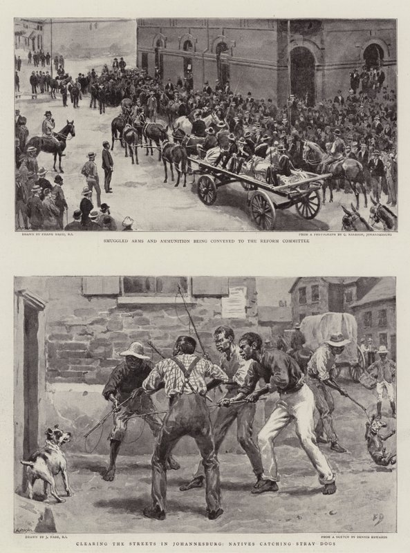 Transvaal-krisen af Frank Dadd