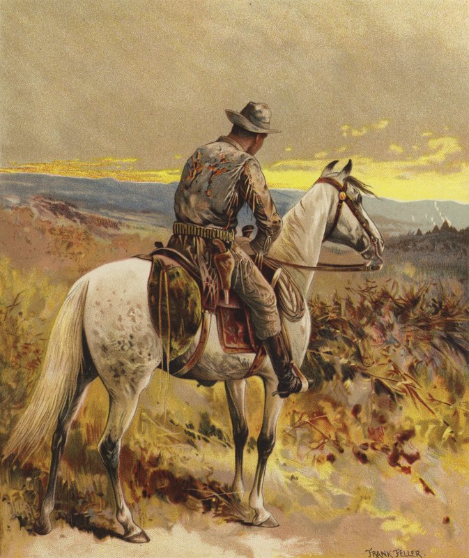 En spejder - Nordamerika af Frank Feller
