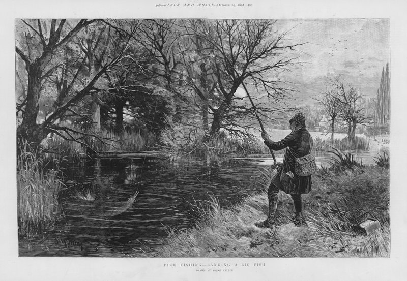Geddefisker lander en stor fisk (litho) af Frank (after) Feller