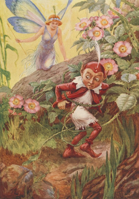Nymphidia and Puck, fra Nymphidia af Michael Drayton (farve litho) af Frank Adams