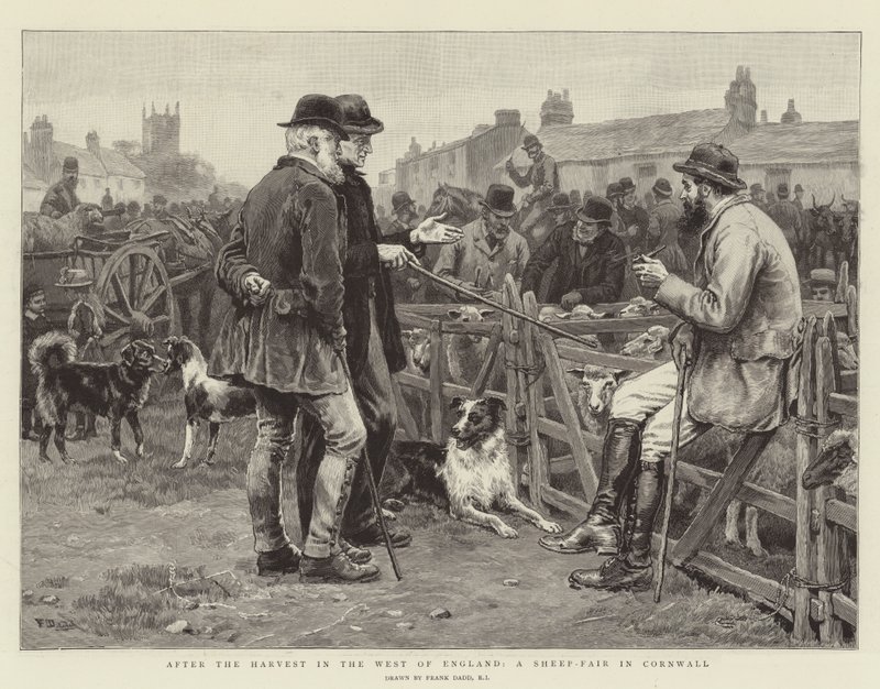 Efter høsten i det vestlige England, en fåremesse i Cornwall af Frank Dadd