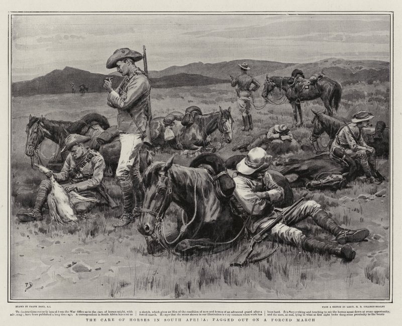 The Care of Horses i Sydafrika, fik ud på en tvungen march af Frank Dadd
