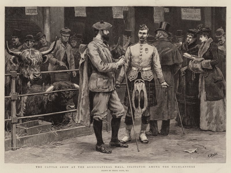 Kvægudstillingen i Agricultural Hall, Islington, blandt højlænderne af Frank Dadd